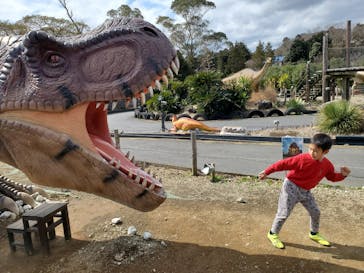 伊豆ぐらんぱる公園に投稿された画像（2023/3/3）