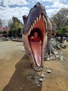 伊豆ぐらんぱる公園に投稿された画像（2023/3/3）