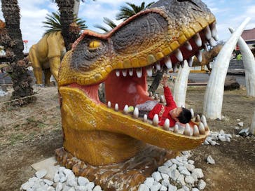 伊豆ぐらんぱる公園に投稿された画像（2023/3/3）