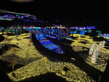 伊豆ぐらんぱる公園に投稿された画像（2023/3/3）