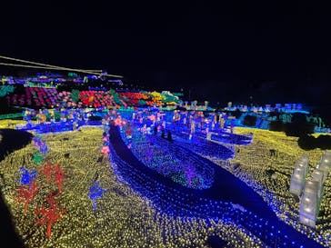 伊豆ぐらんぱる公園に投稿された画像（2023/3/3）