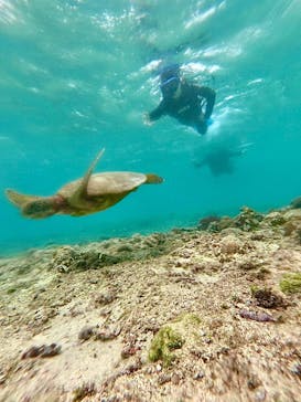 宮古島 ADVENTURE PiPi（ミヤコジマ アドベンチャー ピピ）に投稿された画像（2023/3/3）