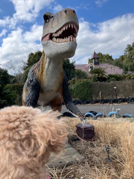 伊豆ぐらんぱる公園に投稿された画像（2023/3/3）