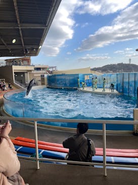 新江ノ島水族館に投稿された画像（2023/3/3）