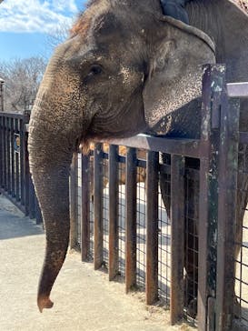 那須サファリパークに投稿された画像（2023/3/4）