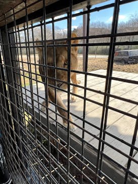 那須サファリパークに投稿された画像（2023/3/4）