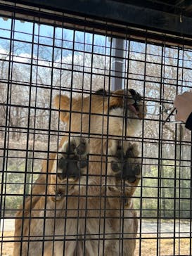 那須サファリパークに投稿された画像（2023/3/4）