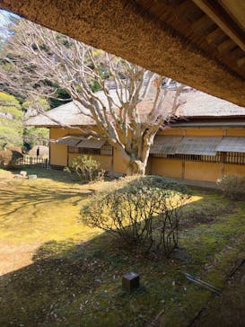 偕楽園本園に投稿された画像（2023/3/4）