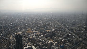 ハルカス300(展望台)に投稿された画像（2023/3/4）