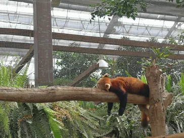 神戸どうぶつ王国に投稿された画像（2023/3/4）