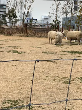 神戸どうぶつ王国に投稿された画像（2023/3/4）