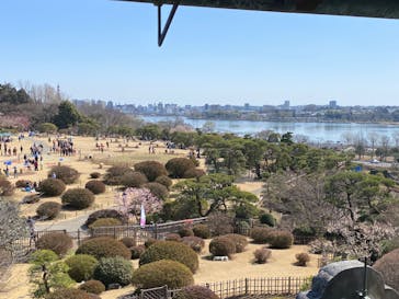 偕楽園本園に投稿された画像（2023/3/4）