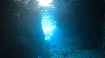 DIVING-SHOP SUNSに投稿された画像（2023/3/4）