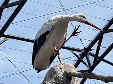 天王寺動物園に投稿された画像（2023/3/4）