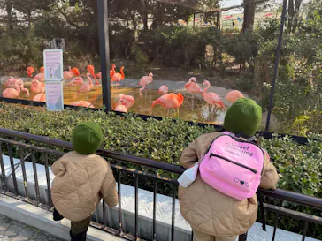 天王寺動物園に投稿された画像（2023/3/4）