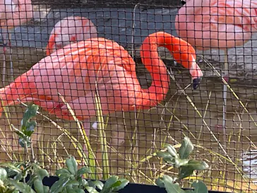天王寺動物園に投稿された画像（2023/3/4）