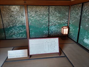 偕楽園本園に投稿された画像（2023/3/4）