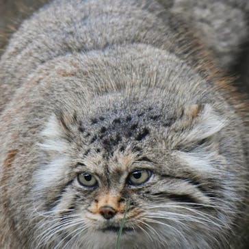 那須どうぶつ王国に投稿された画像（2023/3/4）