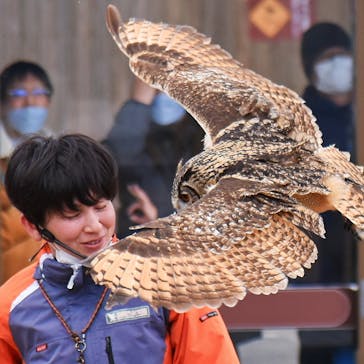 那須どうぶつ王国に投稿された画像（2023/3/4）