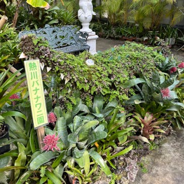 熱川バナナワニ園に投稿された画像（2023/3/4）