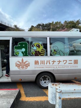 熱川バナナワニ園に投稿された画像（2023/3/4）