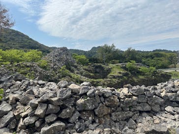 今帰仁城跡に投稿された画像（2023/3/4）