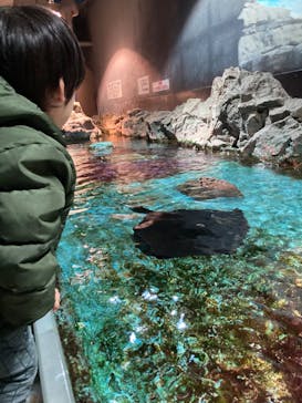 登別マリンパークニクスに投稿された画像（2023/3/4）