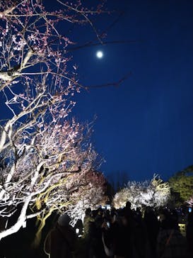 偕楽園本園に投稿された画像（2023/3/4）