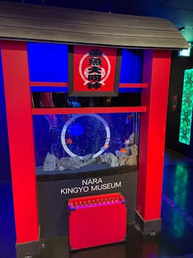 NARA KINGYO MUSEUMに投稿された画像（2023/3/4）