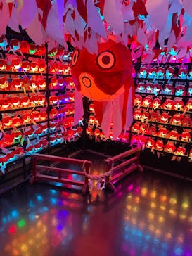 NARA KINGYO MUSEUMに投稿された画像（2023/3/4）