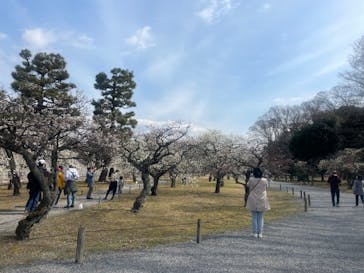 元離宮二条城に投稿された画像（2023/3/4）