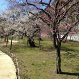 弘道館に投稿された画像（2023/3/4）