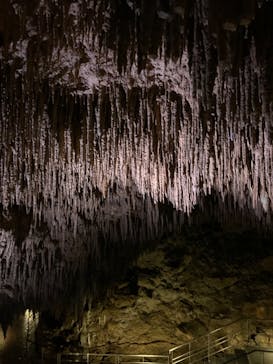 おきなわワールドに投稿された画像（2023/3/4）