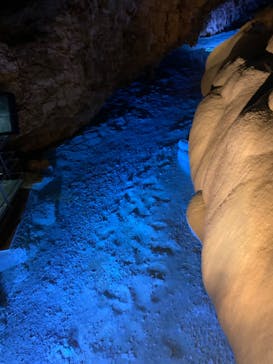 おきなわワールドに投稿された画像（2023/3/4）