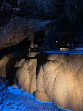 おきなわワールドに投稿された画像（2023/3/4）