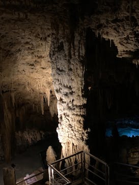 おきなわワールドに投稿された画像（2023/3/4）