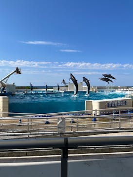 沖縄美ら海水族館に投稿された画像（2023/3/4）