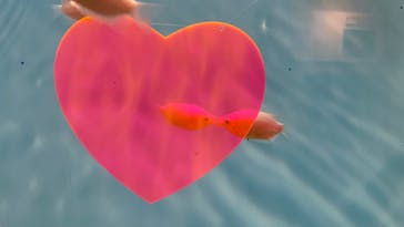 しながわ水族館に投稿された画像（2023/3/4）