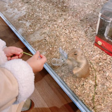 アニタッチみなとみらいに投稿された画像（2023/3/4）