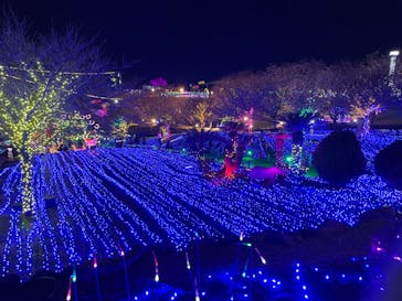 伊豆ぐらんぱる公園に投稿された画像（2023/3/4）