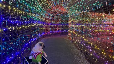 伊豆ぐらんぱる公園に投稿された画像（2023/3/4）