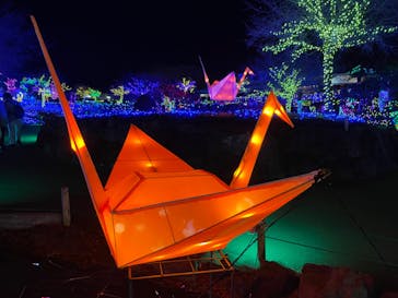 伊豆ぐらんぱる公園に投稿された画像（2023/3/4）