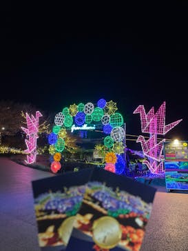 伊豆ぐらんぱる公園に投稿された画像（2023/3/4）