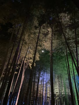 偕楽園本園に投稿された画像（2023/3/4）