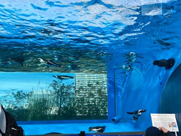 サンシャイン水族館に投稿された画像（2023/3/4）
