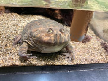 サンシャイン水族館に投稿された画像（2023/3/4）