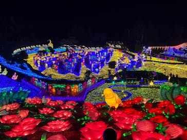 伊豆ぐらんぱる公園に投稿された画像（2023/3/4）