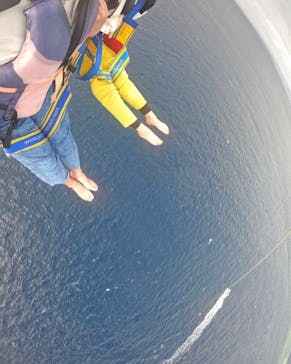 Sea World（シーワールド）に投稿された画像（2023/3/4）