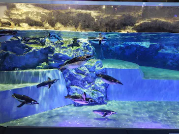 すみだ水族館に投稿された画像（2023/3/4）