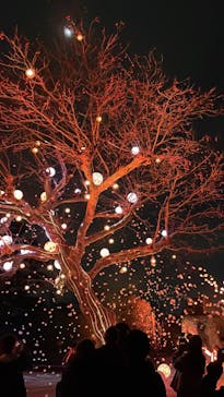 西武園ゆうえんちに投稿された画像（2023/3/4）